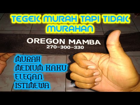 Video: Hutan Terpesona Oregon: Panduan Lengkap