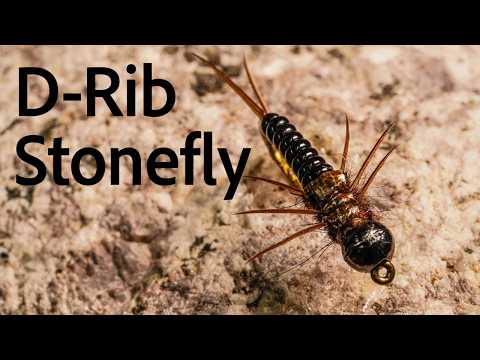 How to Tie the D-Rib Stonefly fly tying video