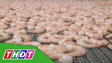 Thách thức đối với xuất khẩu tôm sang Mỹ | THDT