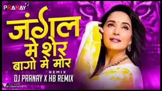 jungle Mein Sher Bagon mein Mor - remix Dj Maroti Dj song Chandrakant  remix DJ Hindi songs