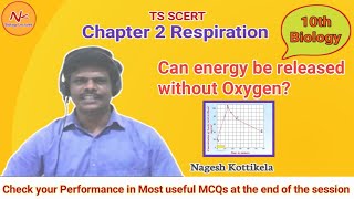 Can Energy be Released without Oxygen? | Chapter 2 Respiration | Class 10 Biology | TS SCERT