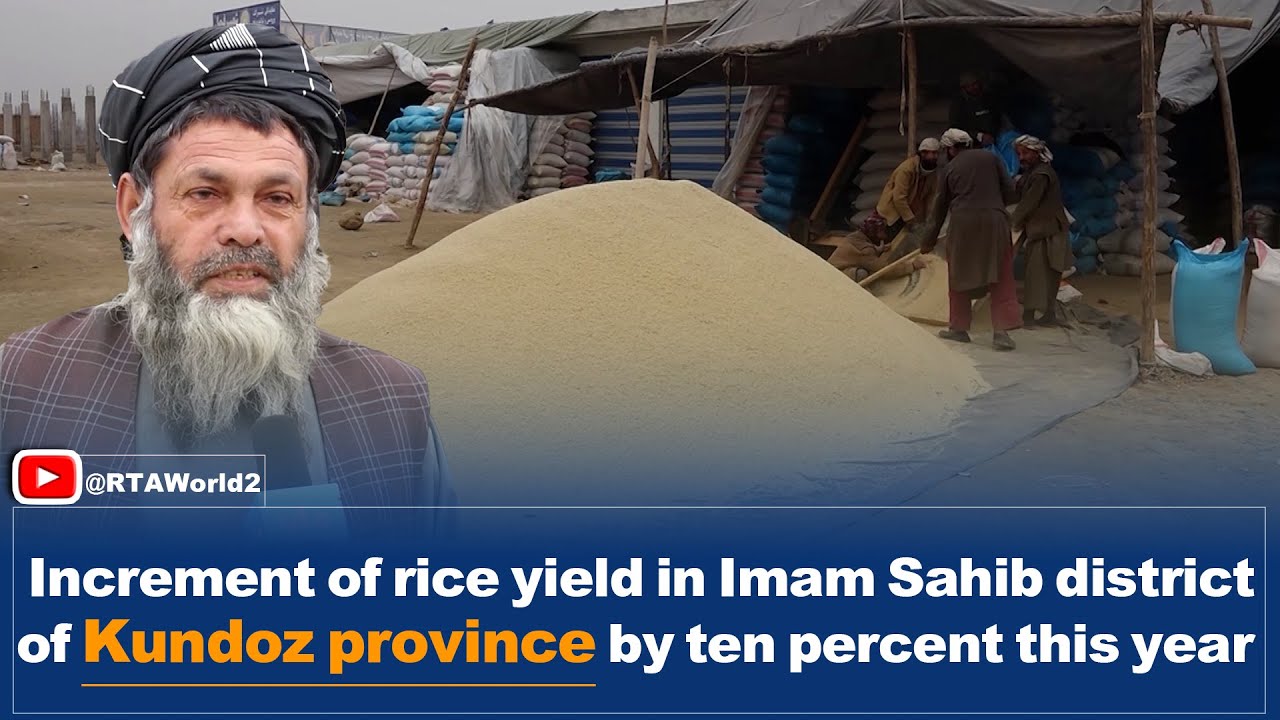 Imam Rice Increment of rice yield in Imam Sahib district of Kundoz province by ...