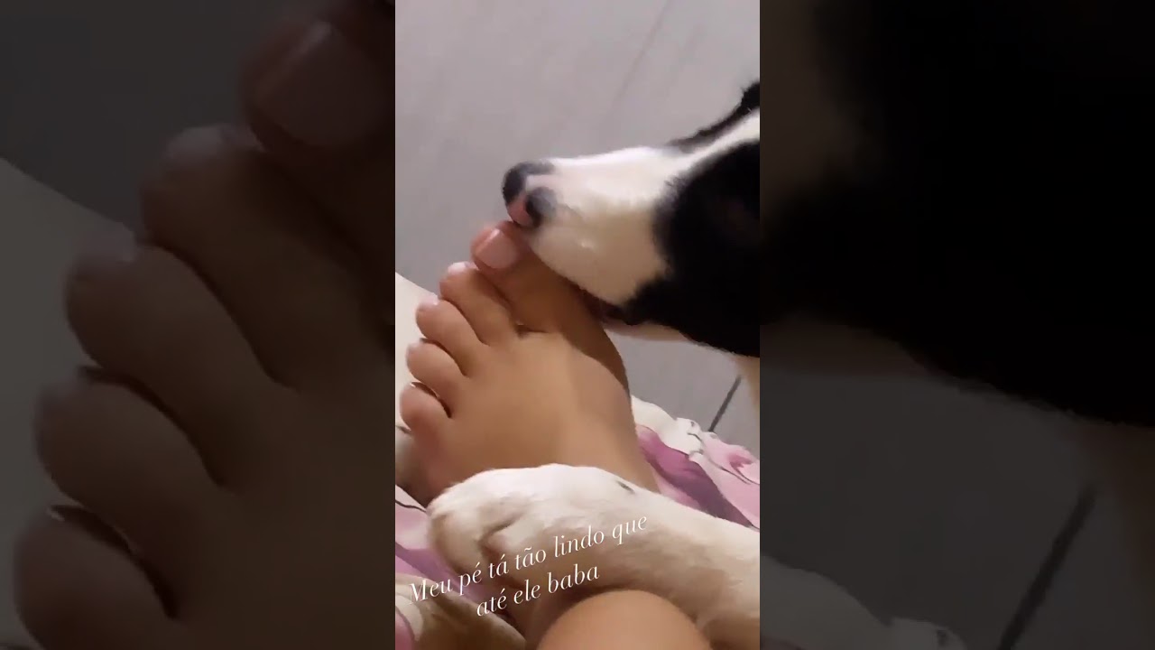 Girl Licking Girls Feet