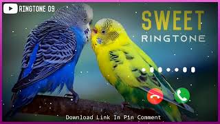 Sweet Bird Sound Ringtone | Download Link 👇 screenshot 4