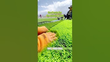 Why 10,000+ Homeowners Chose SnailTurf Artificial Grass? 🌟 (Full Factory Process Revealed!)