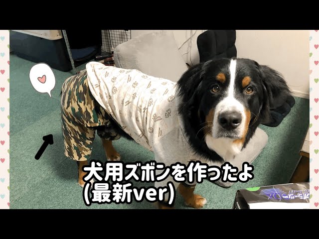 ハンドメイド】迷彩柄のイケイケ犬用ズボンを作ったよ。【大型犬の犬服