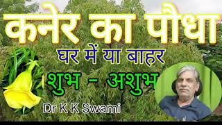 कनेर का पौधा घर में या बाहर शुभअशुभ Kaner ka Paudha Ghar me ya Bahar ShubhAshubh  Dr K K Swami