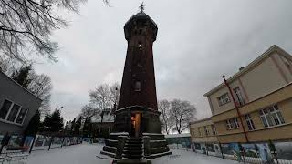 Around Nowy Port. Wild boar(Dzick). North Harbor Lighthouse