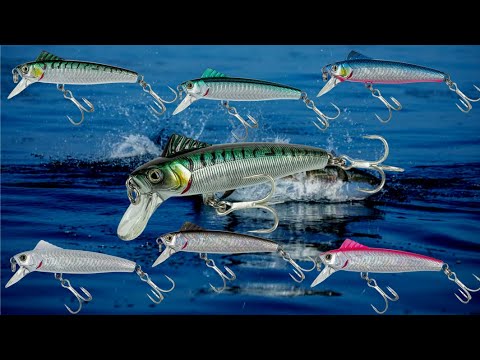 MOLIX Saltwater Heavy