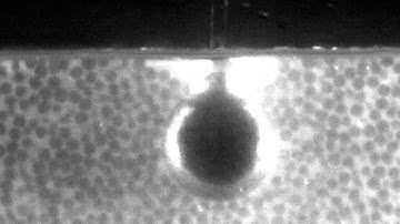 Looking Inside A Granular Impact