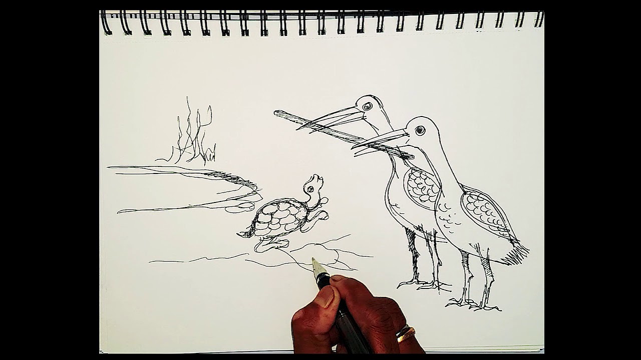 Turtle and the Cranes Bedtime Stories for Kids Panchatantra Stories