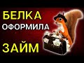 БЕЛКА ОФОРМИЛА ЗАЙМ | Разговоры с коллекторами | Антиколлекторы | банк | коллекторы