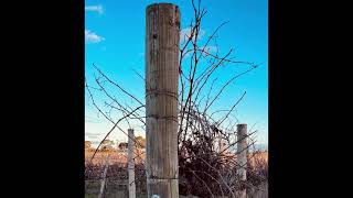 August In The Awarra - Winter Vines To Beautiful Sunsets.