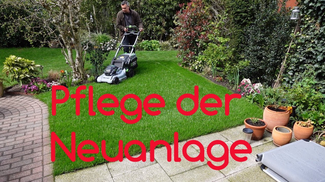 Rasen Neuanlage Pflege nach dem Keimen // Rasen Aerifizieren und Sanden