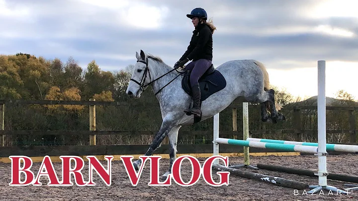 BARN VLOG ~ Jumping 4 of the horses