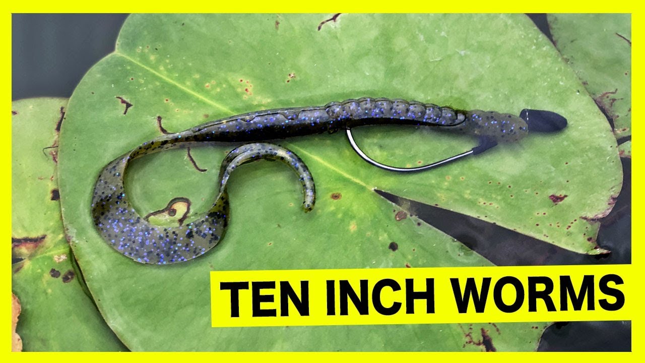 Tips for How To Fish a Ten Inch Soft Plastic Worm 