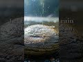Let the morning rain wash the stone clean. #healing #selfcare #mindset #inspiration #quotes #begi...