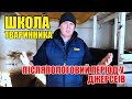 Післяпологовий період у корів | Школа тваринника | Куркуль