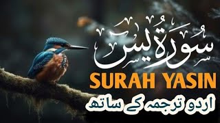 Heart touching tilawat surah yaseen with urdu translation and arabic language subtitles 🕋 episode150