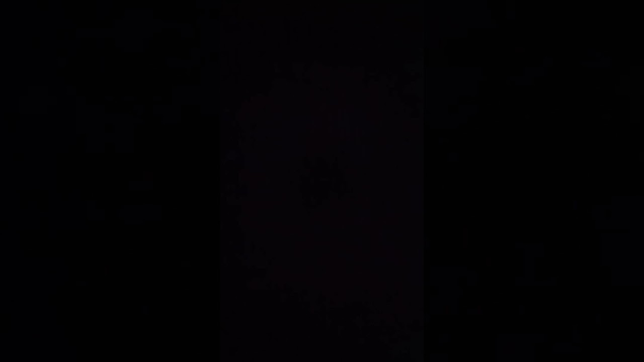 We are the Midnight Doves 