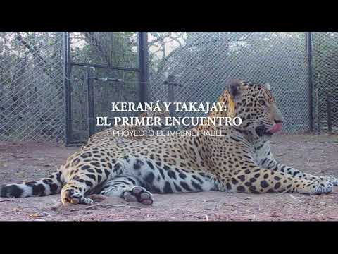 EL PRIMER ENCUENTRO ENTRE KERANÁ Y TAKAJAY