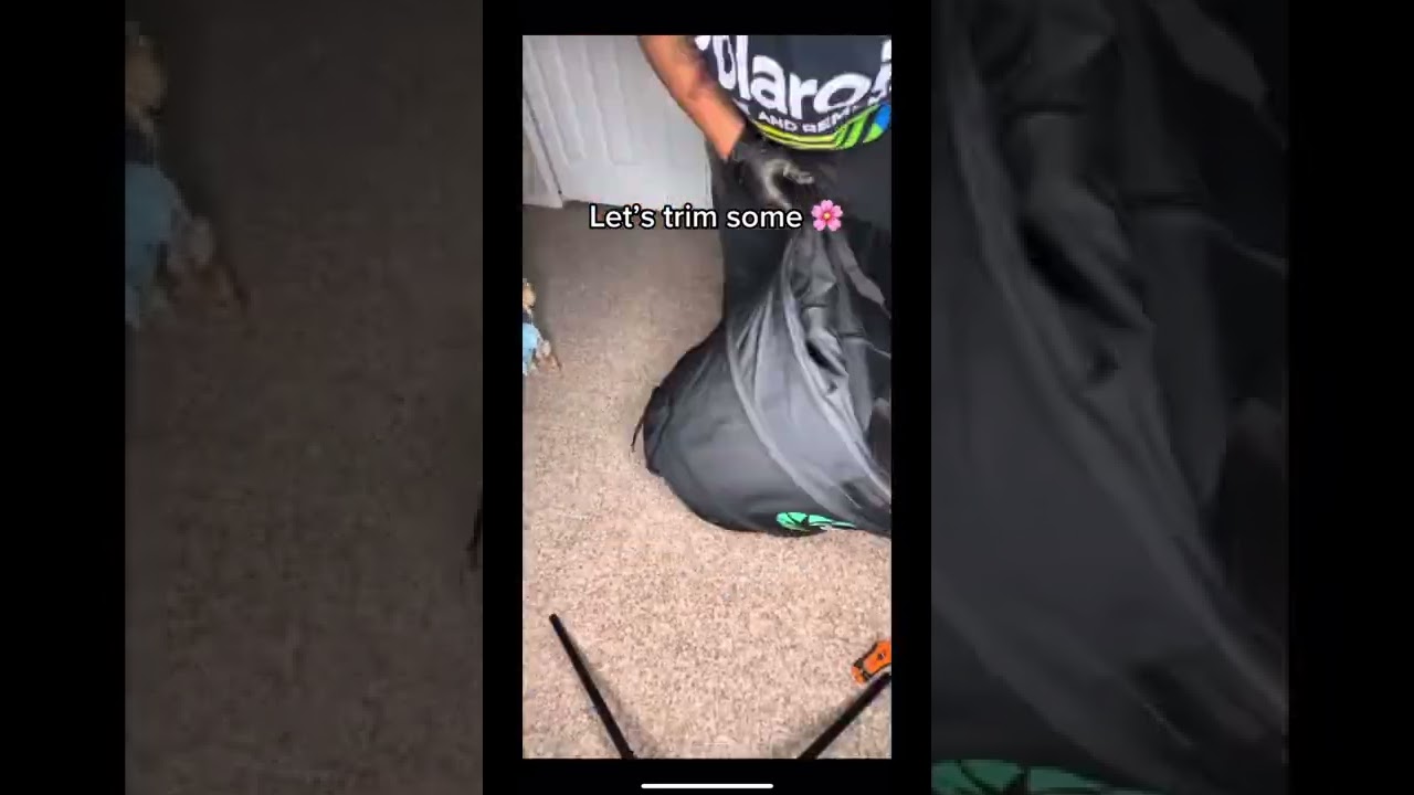 Trimming with TrimBag