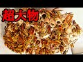 超大物YouTuber宅のハチの巣採って飼って食う