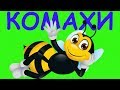 Мультики українською мовою - Вивчаємо комах