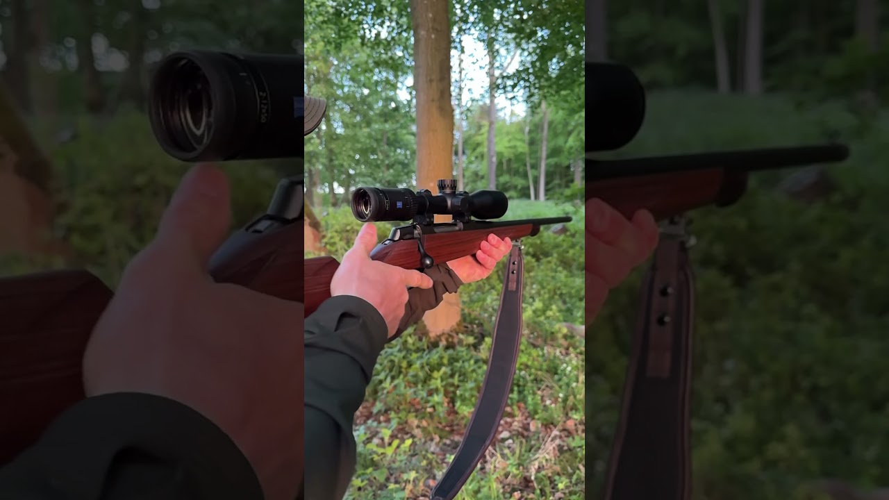 Sun set buck. latest YouTube film out.  sako 90 Bavarian 243.