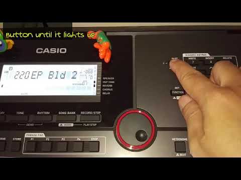Casio CT X5000 mic setting tutorial with Wisnu Himawan (English subtitles)