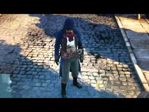 Assassins Creed: Unity (PC) flicker.