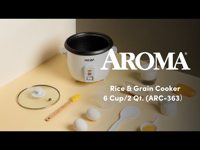Aroma Pot Style Rice Cooker Comes With Two Spoons