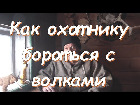 Как охотнику бороться с волками