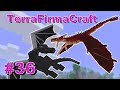 #36/КТО ПОБЕДИТ?/ Выживание в TerraFirmaCraft