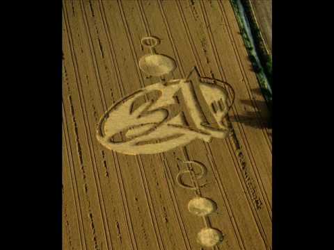 Can't Fade Me Video