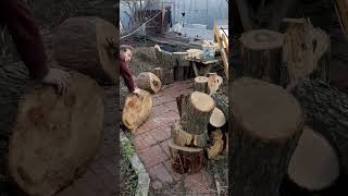 Закупили Пни И Спилы Дуба. Как Думаете, Сколько Весит Этот Пень? #Дача #Handmade #Wood #Diy #Своимир