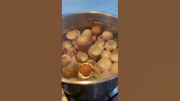 Do you use your leftover Egg Shells? | Lifestyle Choices