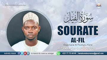 Ousmane Alfoutiyo Kane : Sourate al-Fil · سورة الفيل  · N°105 · 5 VERSETS ( Warch 'an naafi' )