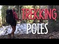 Trekking Poles