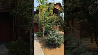 816 Palmer St. #103, Missoula, MT 59802