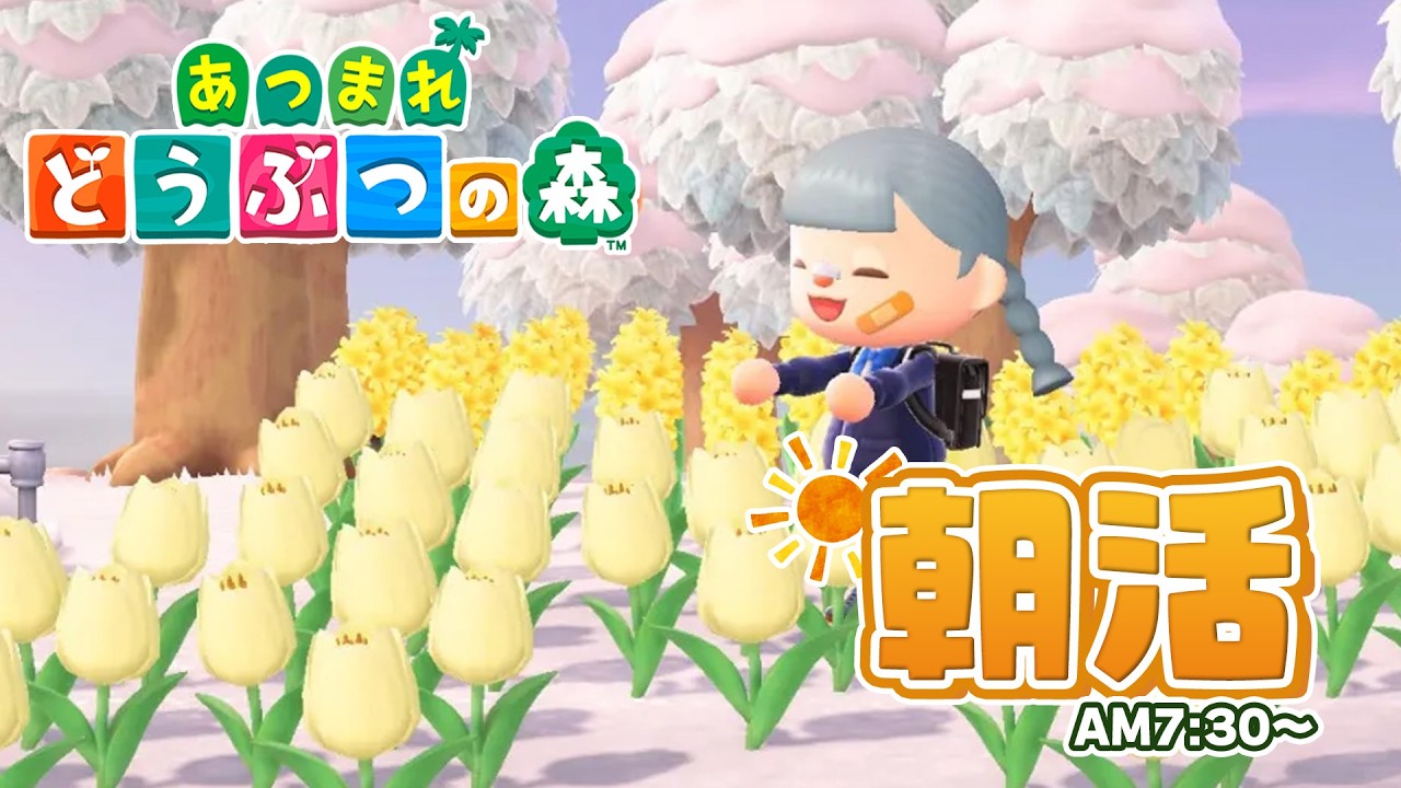#40【あつまれ どうぶつの森】朝活!!!【くるぽぽ はとぽぉ】