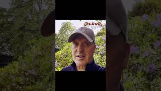 Celebrity Michael Keaton Batman, Movie, Net Worth Wealth