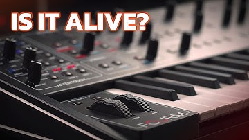 I Didn’t Expect This Sound – Sequential Fourm Ambient Jam