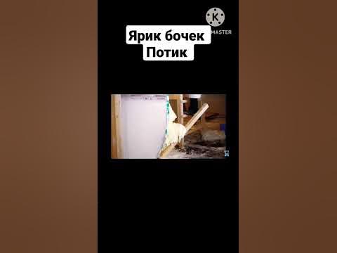 Ярик бочек потик#ItsMamix#момент - YouTube