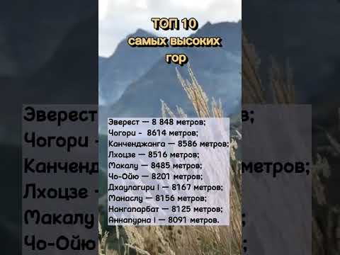 Какая самая высокая гора в мире?