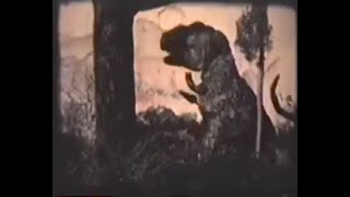 Stop-Motion Rarities: "Dinosaur in 8mm Home Movie" by Doug McKeown (1964).