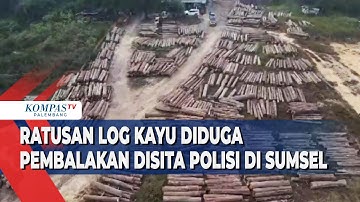 Ratusan Log Kayu Diduga Pembalakan Disita Polisi di Sumsel