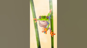 Draw Rain Forest Tree Frog with iPad Procreate #shorts