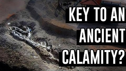 Fossilized Trees Up to 20 Million Years Old Found Intact in Lesbos, Greece