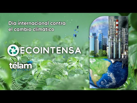 Día internacional contra el cambio climático - Ecointensa